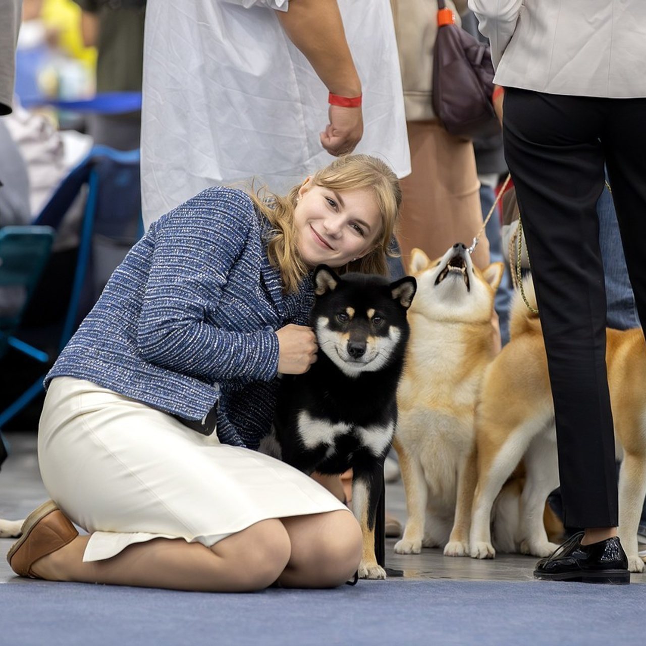 Отзывы. Фотограф анималист в Санкт-Петербурге Светлана Писарева