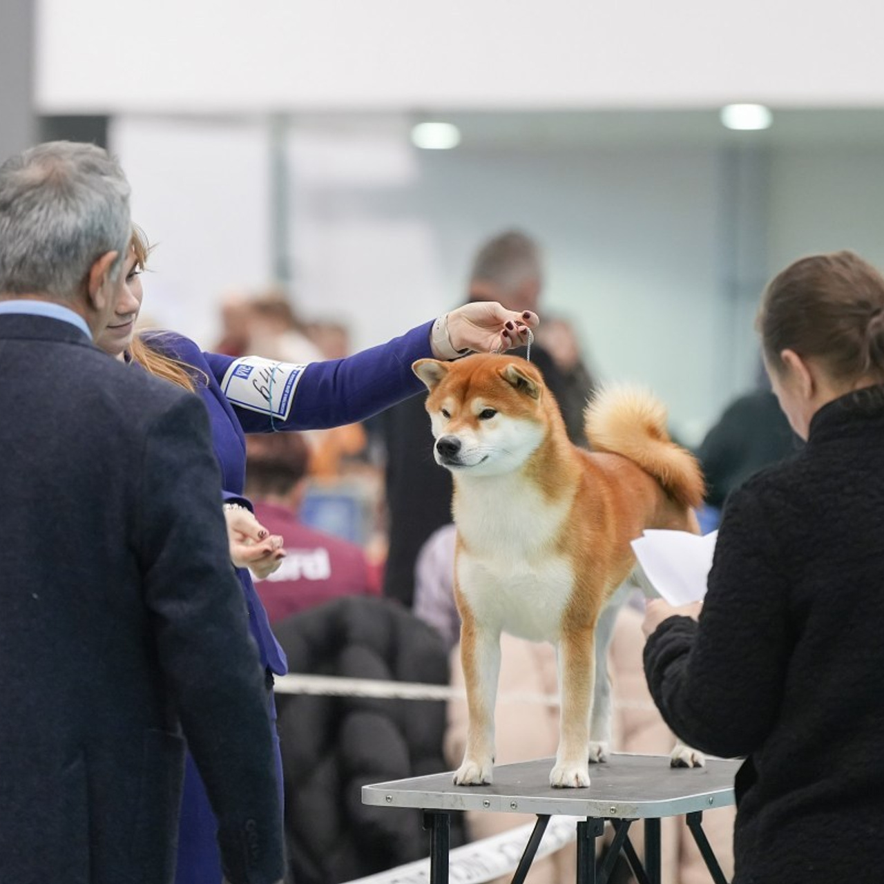 Отзывы. Фотограф анималист в Санкт-Петербурге Светлана Писарева