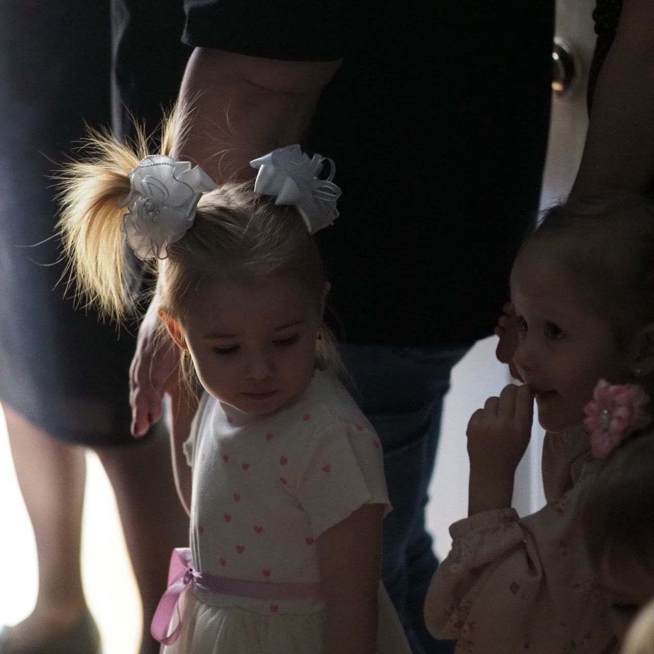 Отзывы. Семейный фотограф в Красноярске Лизоркина Вера