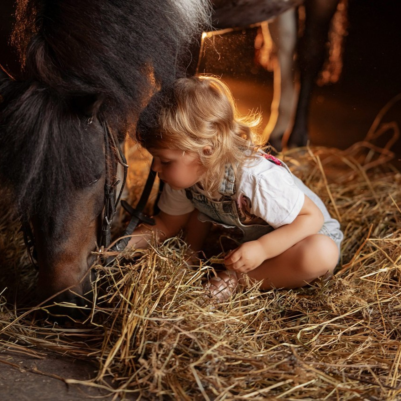 Отзывы. Фотограф Вероника Ранцева, фотосессии с лошадьми в Минске и Могилеве