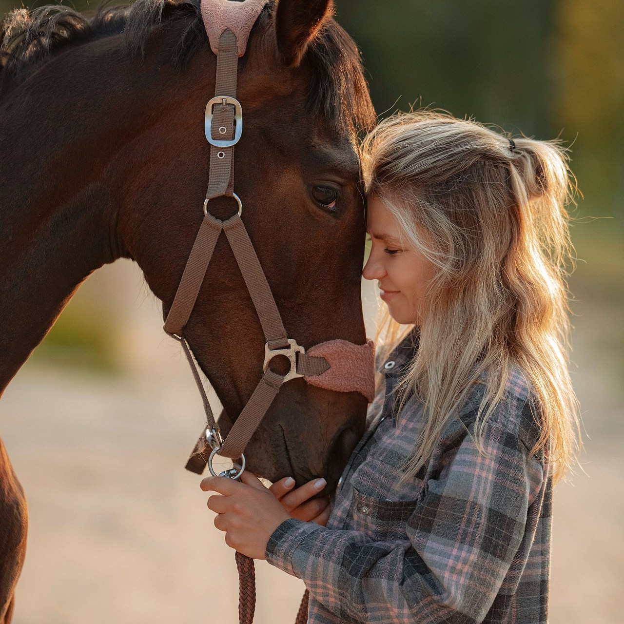 Отзывы. Фотограф Вероника Ранцева, фотосессии с лошадьми в Минске и Могилеве