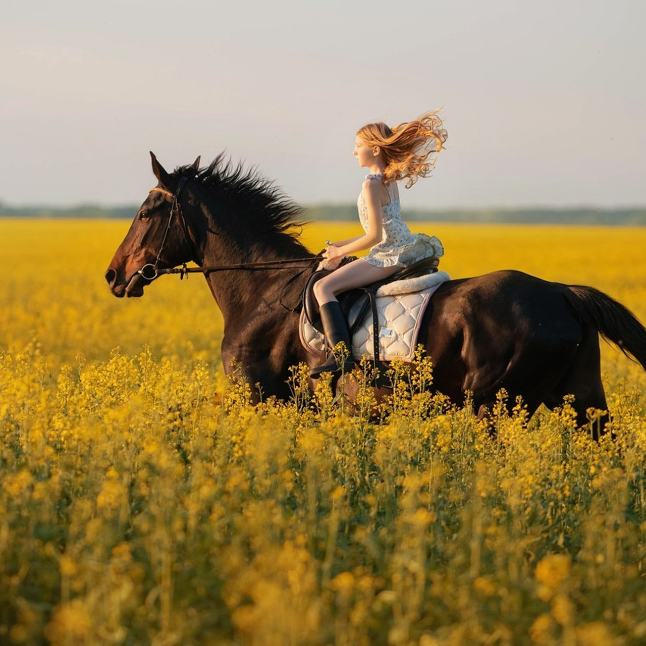 Отзывы. Фотограф Вероника Ранцева, фотосессии с лошадьми в Минске и Могилеве