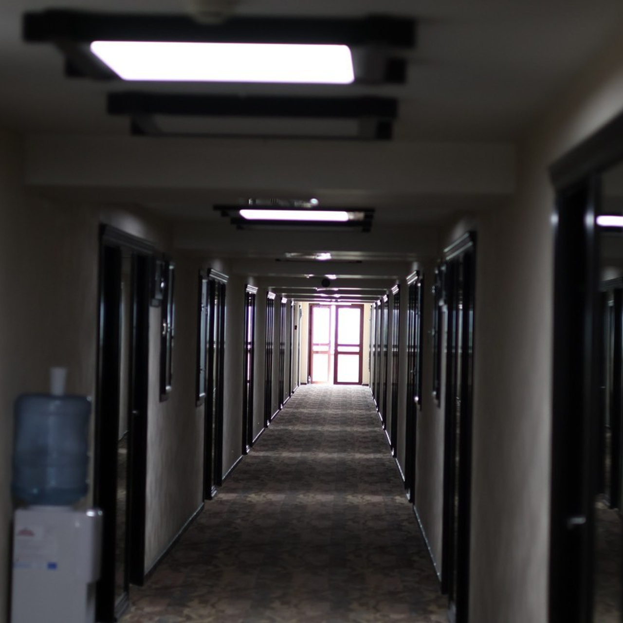 Отзывы о фотографе Денисе Минтонове. Mintonov's Film Studio