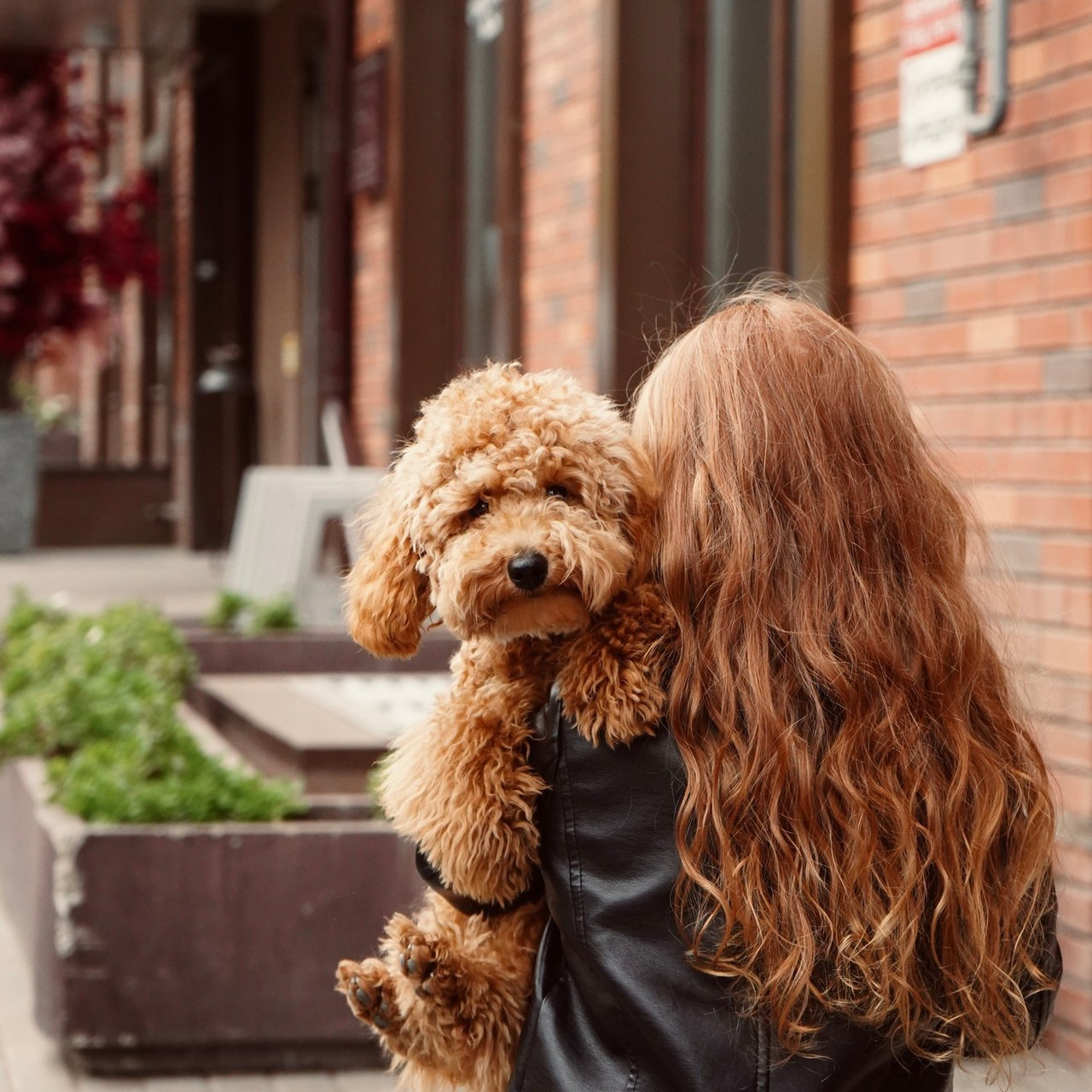 Отзывы. Tuspukto