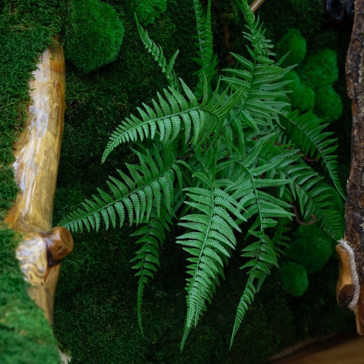 Отзывы о фотографе Евгении Шумагине. Нижний Новгород. Свадебный и семейный фотограф в Нижнем Новгороде Евгений Шумагин