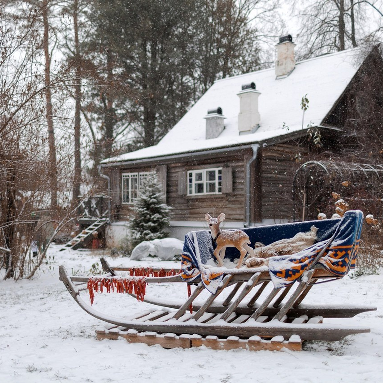 Отзывы. Репортажный фотограф в Москве, Серпухове и Протвино