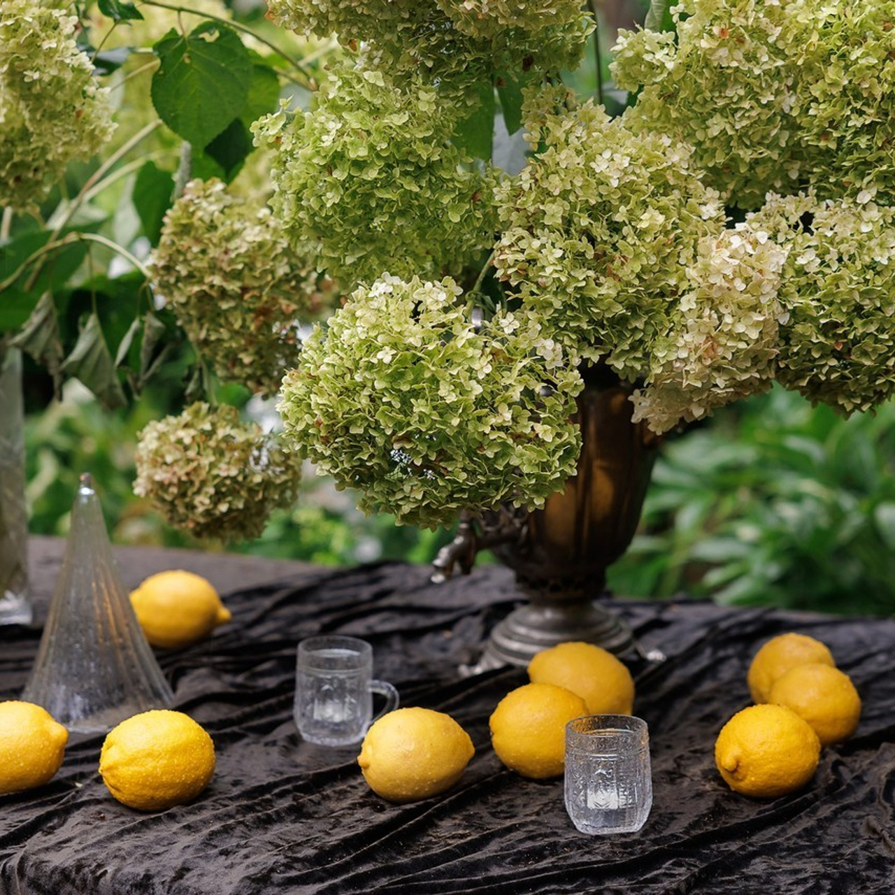 Отзывы. Репортажный фотограф в Москве, Серпухове и Протвино