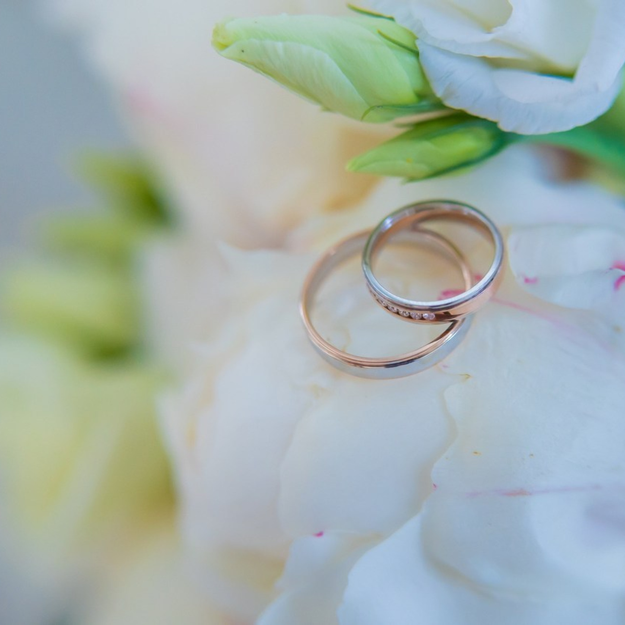 Отзывы о фотографе в Спб. фотограф. Фотограф спб, Санкт-Петербурге, Питере  Денис Гусев