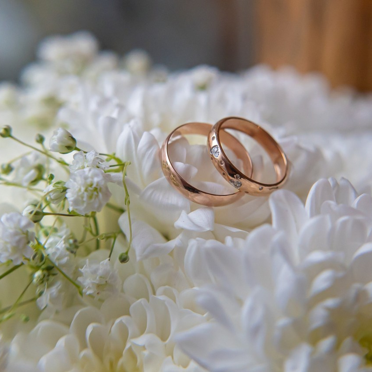 Отзывы о фотографе в Спб. фотограф. Фотограф спб, Санкт-Петербурге, Питере  Денис Гусев