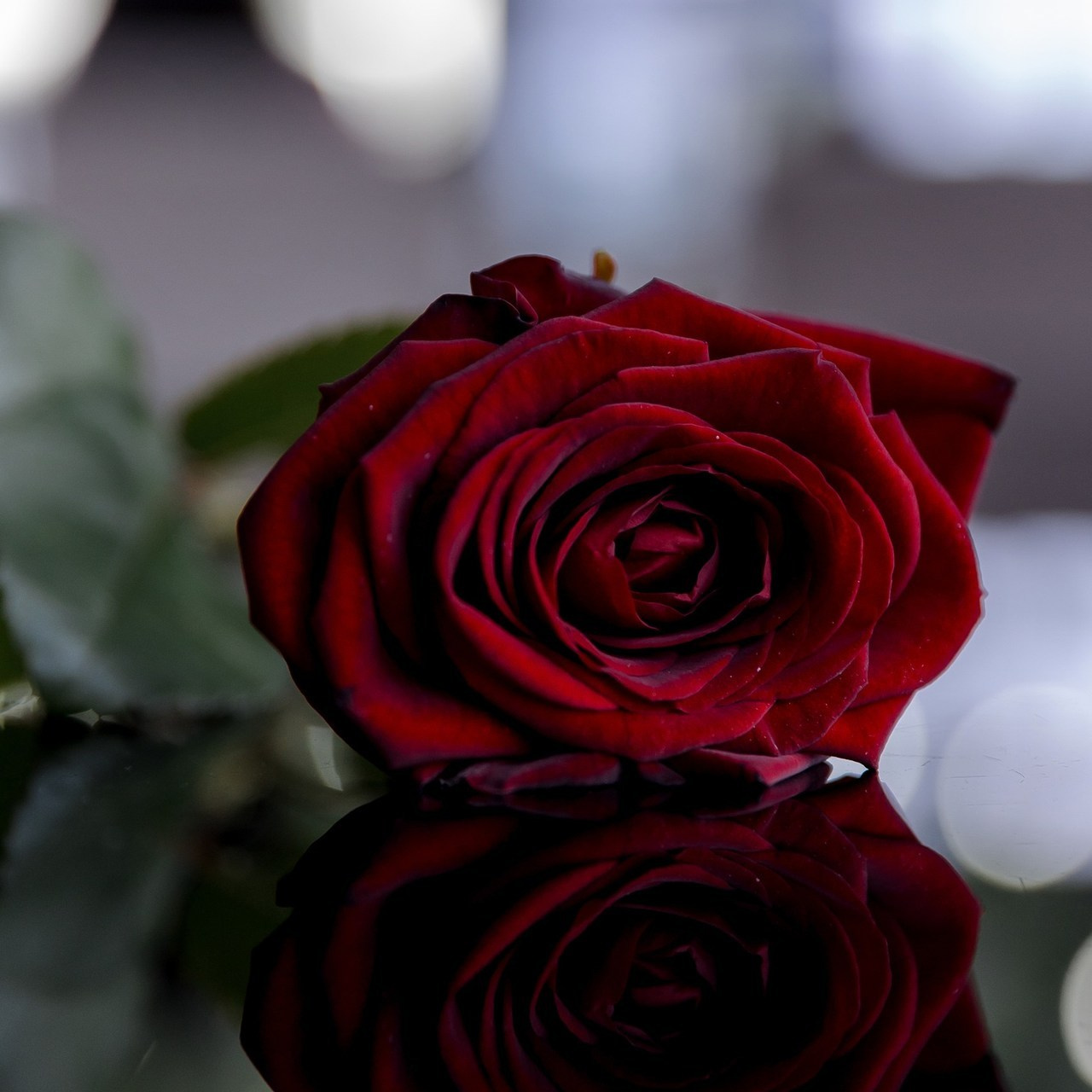 Отзывы. Свадебный и семейный фотограф Динар Гильмутдинов