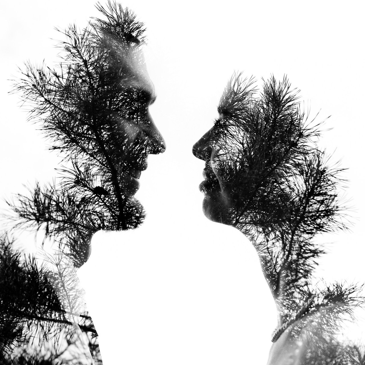 Отзывы. Свадебный и семейный фотограф Динар Гильмутдинов