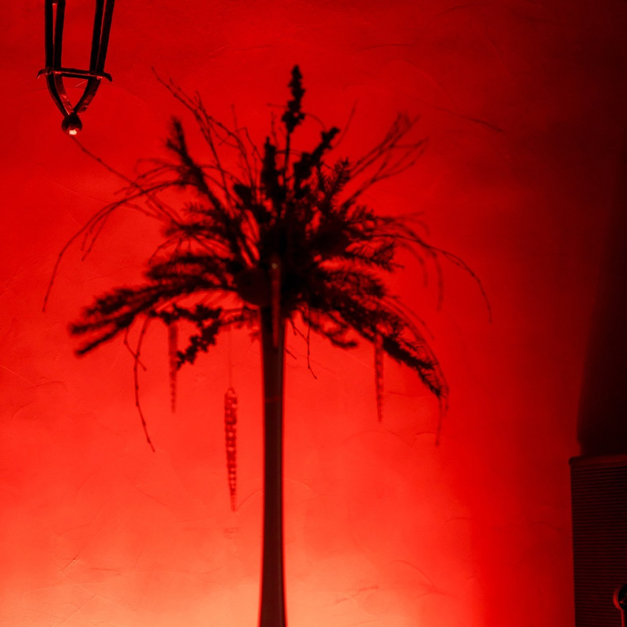 Отзывы. Свадебный и семейный фотограф Динар Гильмутдинов