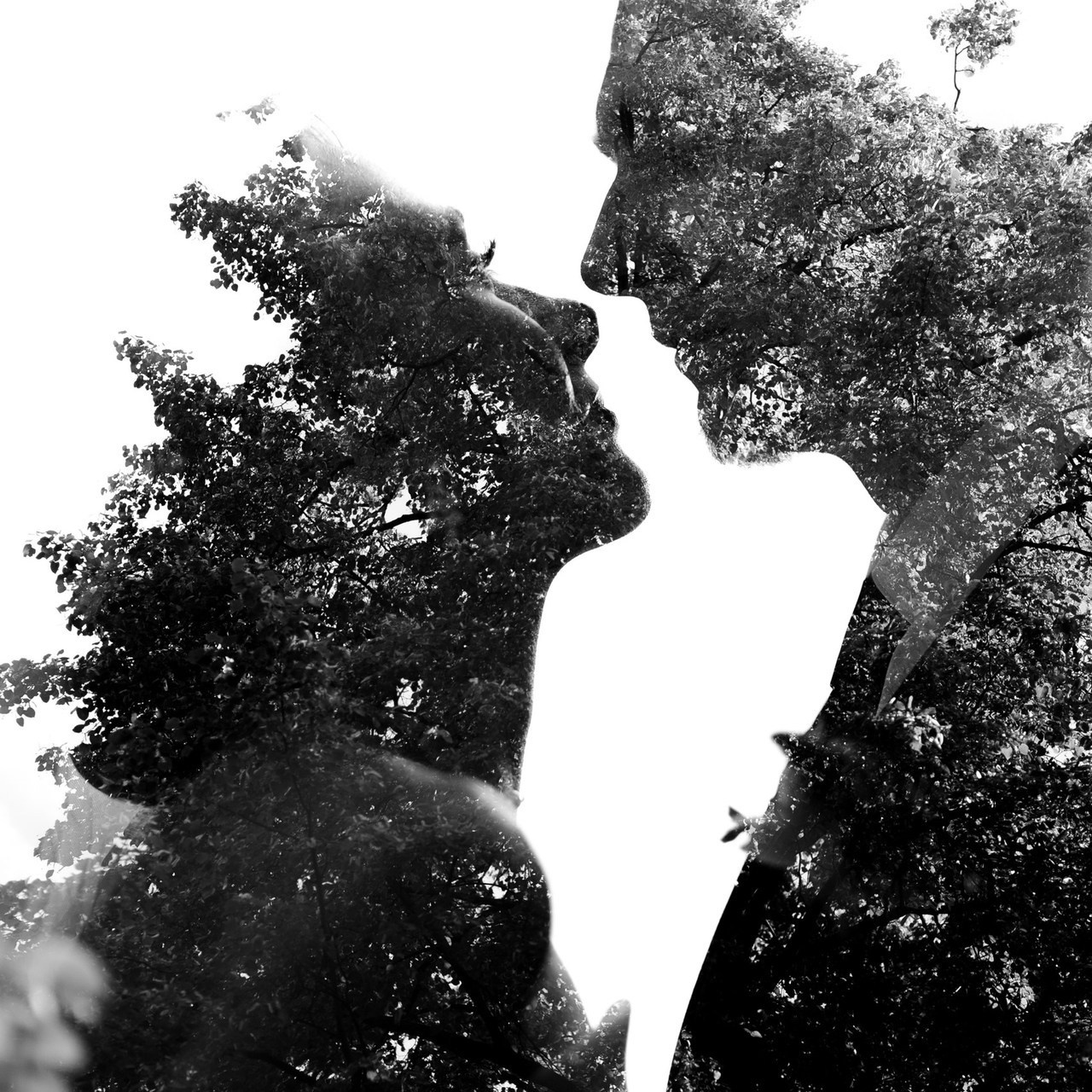 Отзывы. Свадебный и семейный фотограф Динар Гильмутдинов