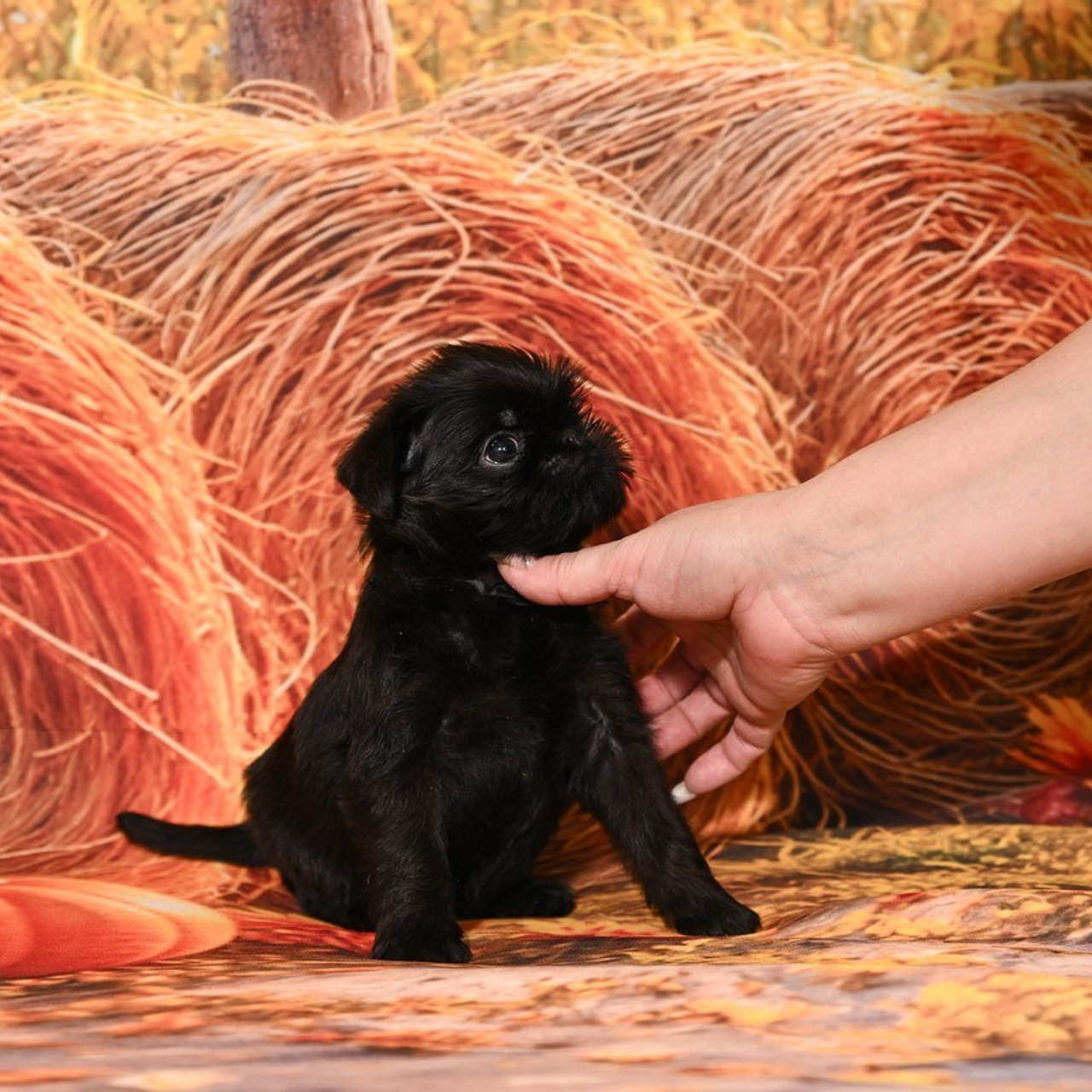 Отзывы. Выпускные альбомы для детских садов Санкт-Петербург