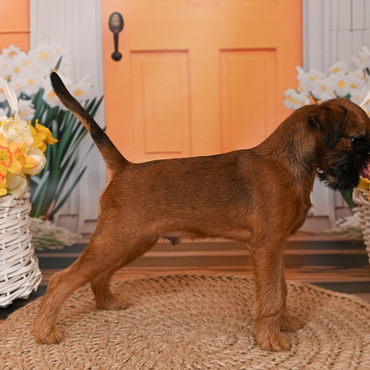 Отзывы. Выпускные альбомы для детских садов Санкт-Петербург