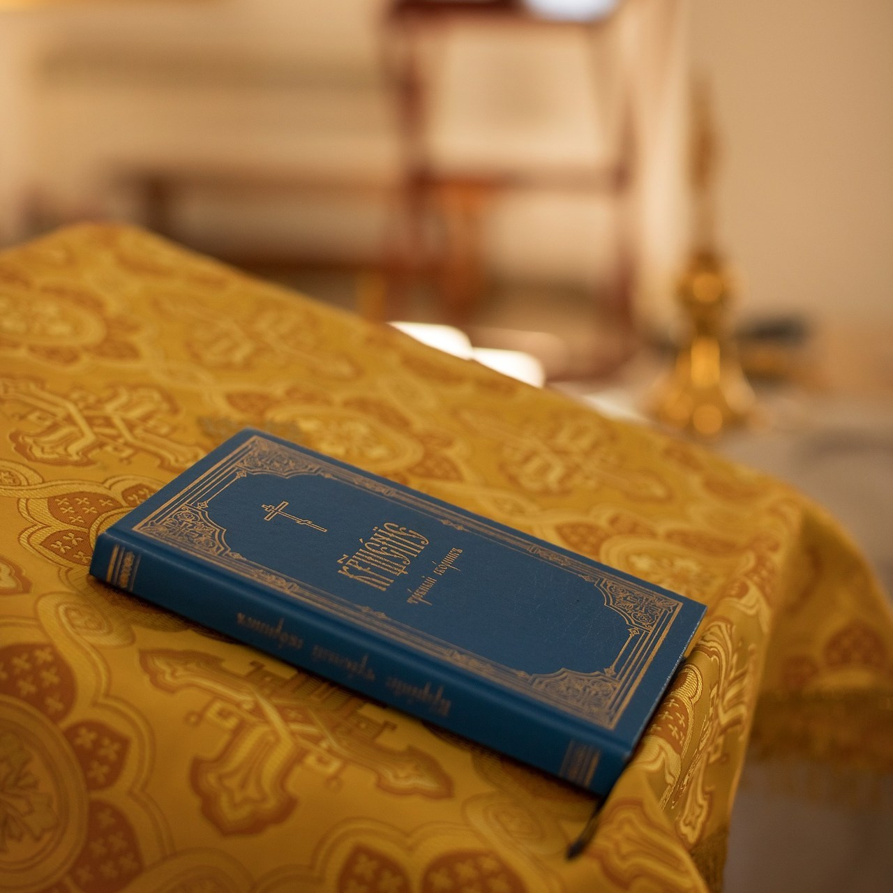 Comments. Семейный и детский фотограф в Саратове Полина Коткина