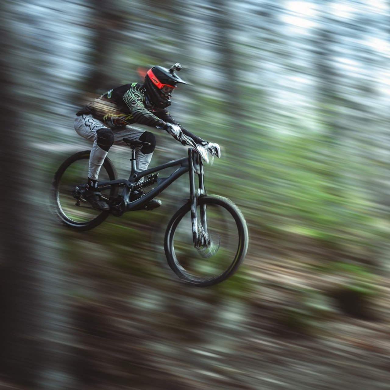 Отзывы. Фотограф анималист Никита Натальный