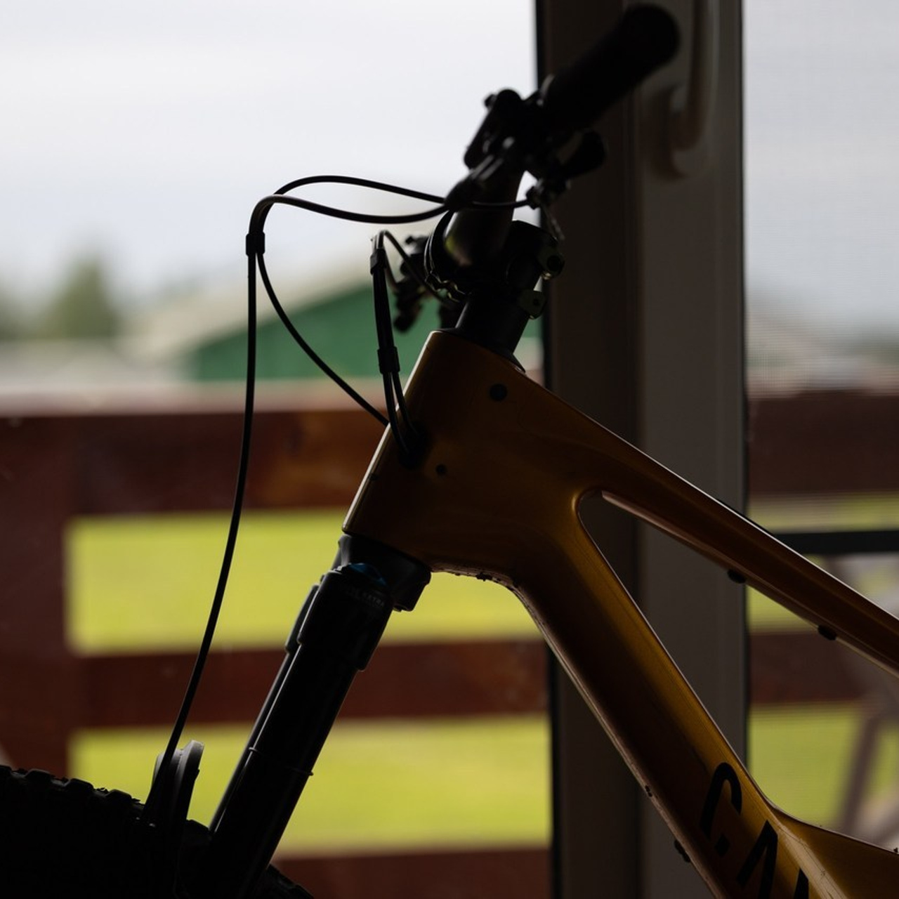 Отзывы. Фотограф анималист Никита Натальный