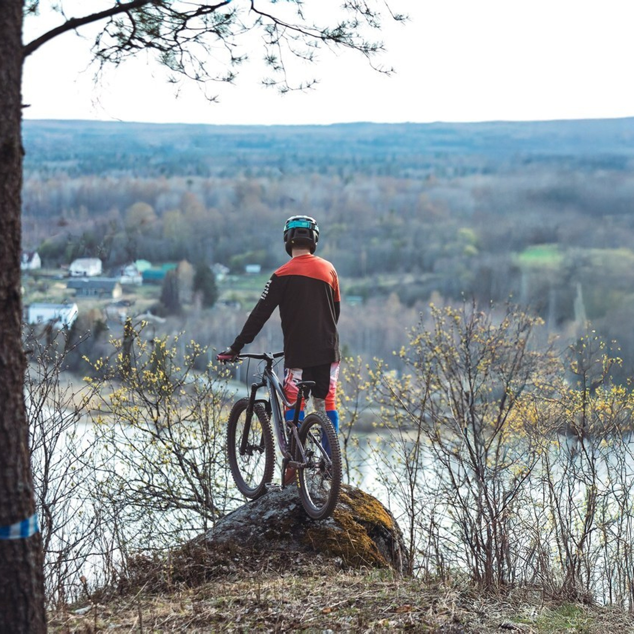 Отзывы. Фотограф анималист Никита Натальный