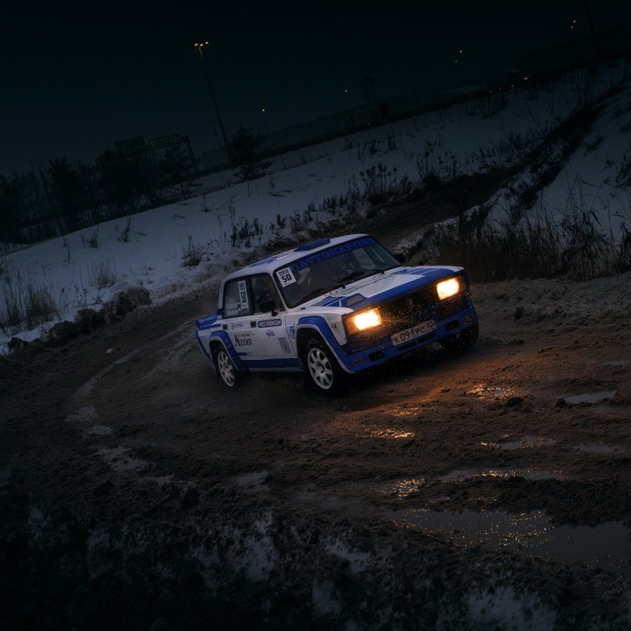 Отзывы. Фотограф анималист Никита Натальный