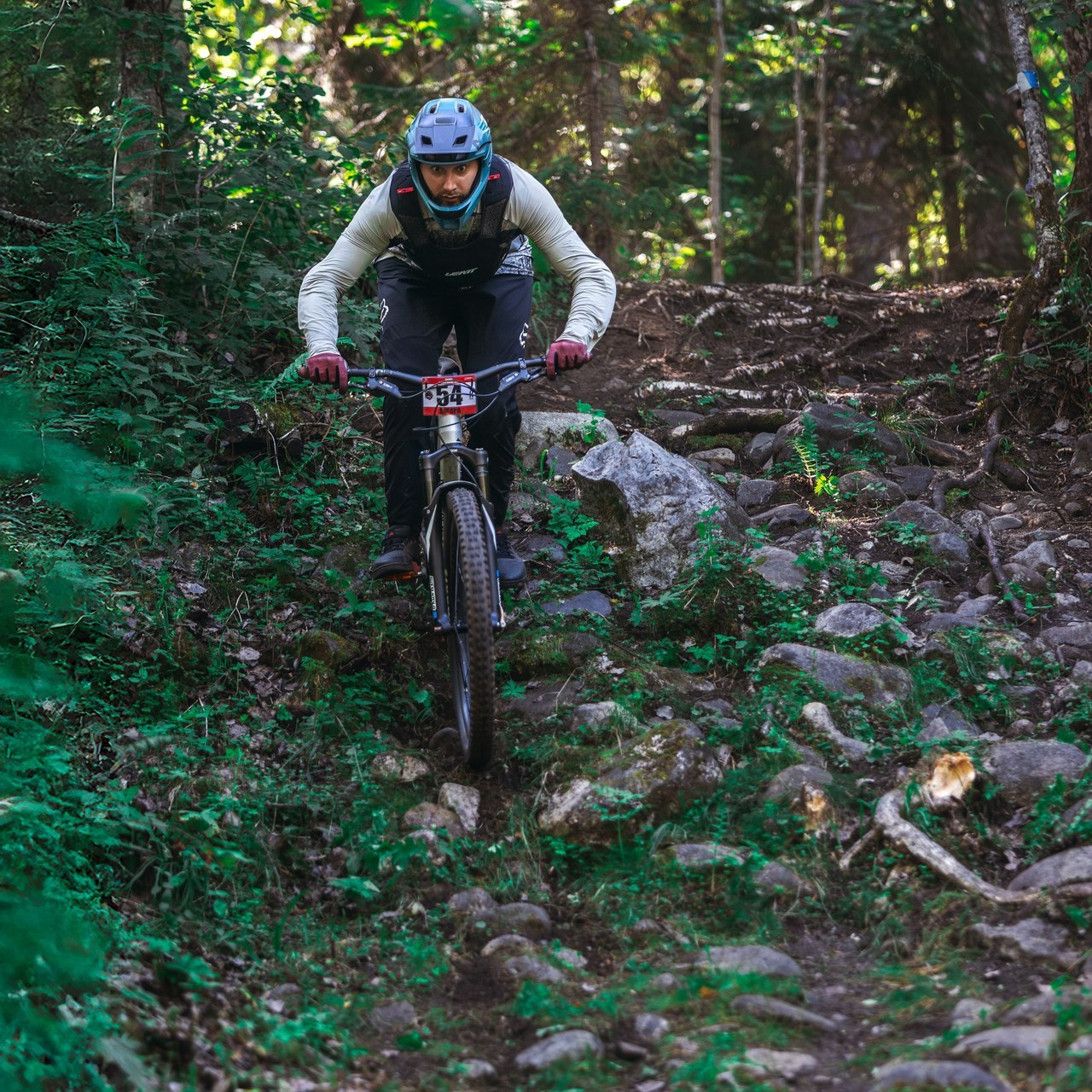 Отзывы. Фотограф анималист Никита Натальный