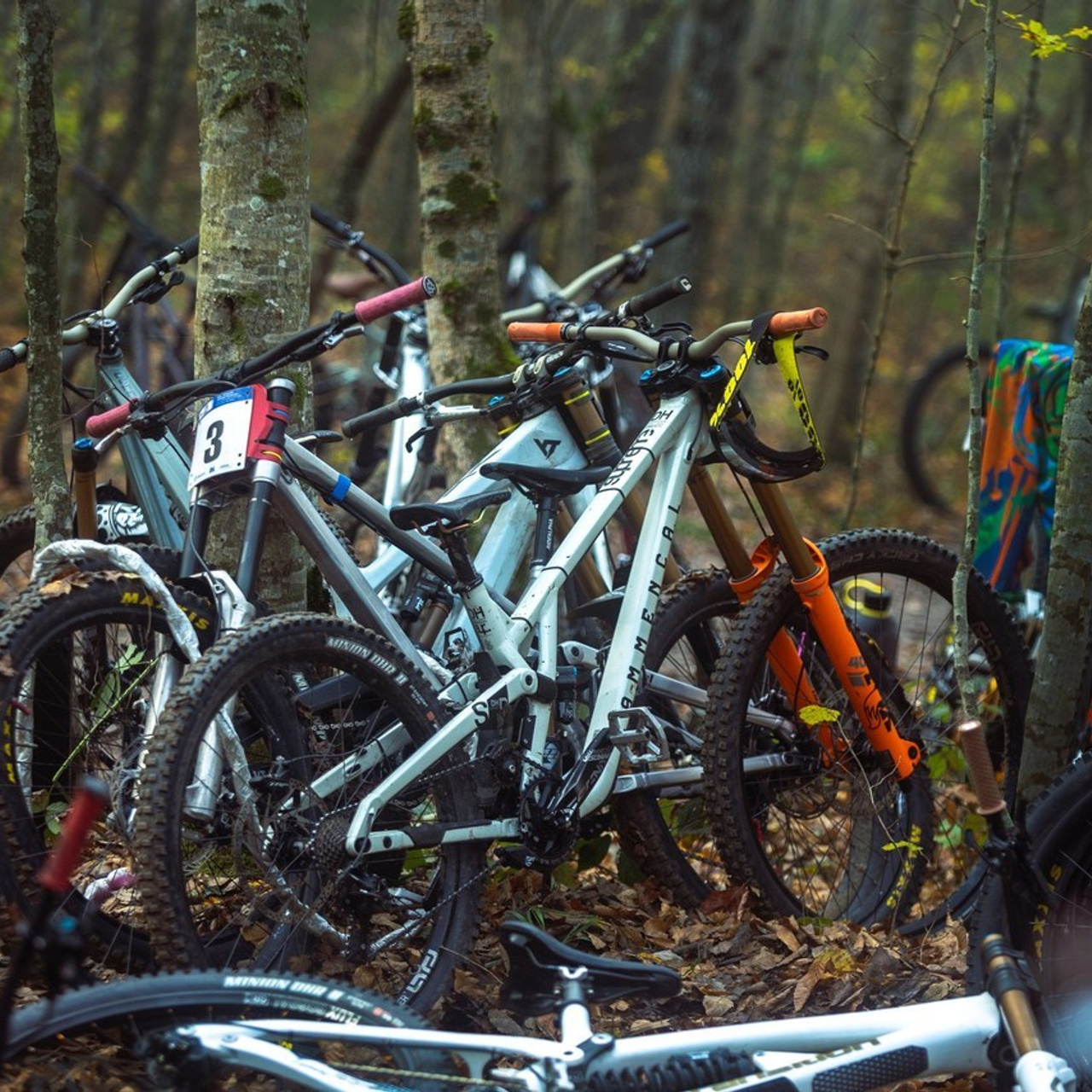 Отзывы. Фотограф анималист Никита Натальный