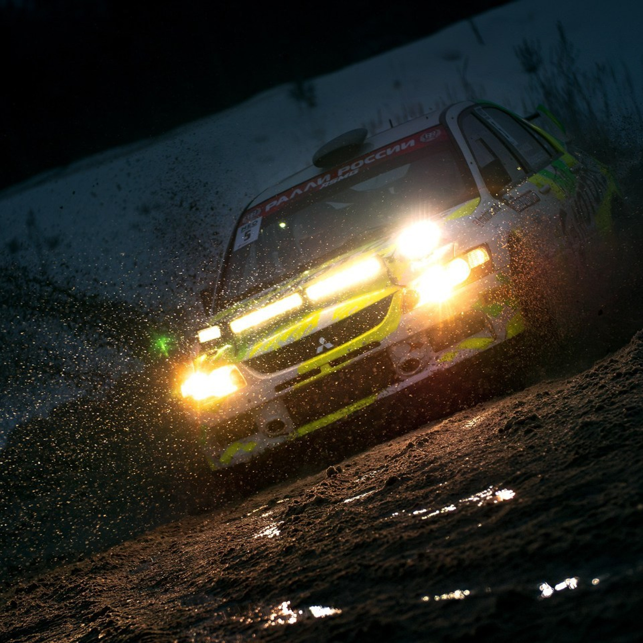 Отзывы. Фотограф анималист Никита Натальный