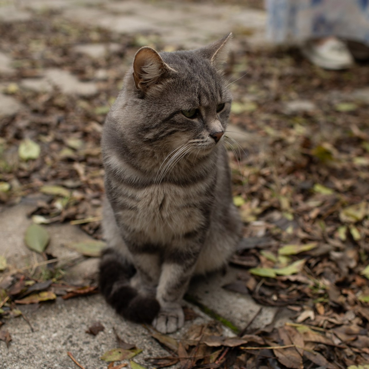 Меня рекомендуют