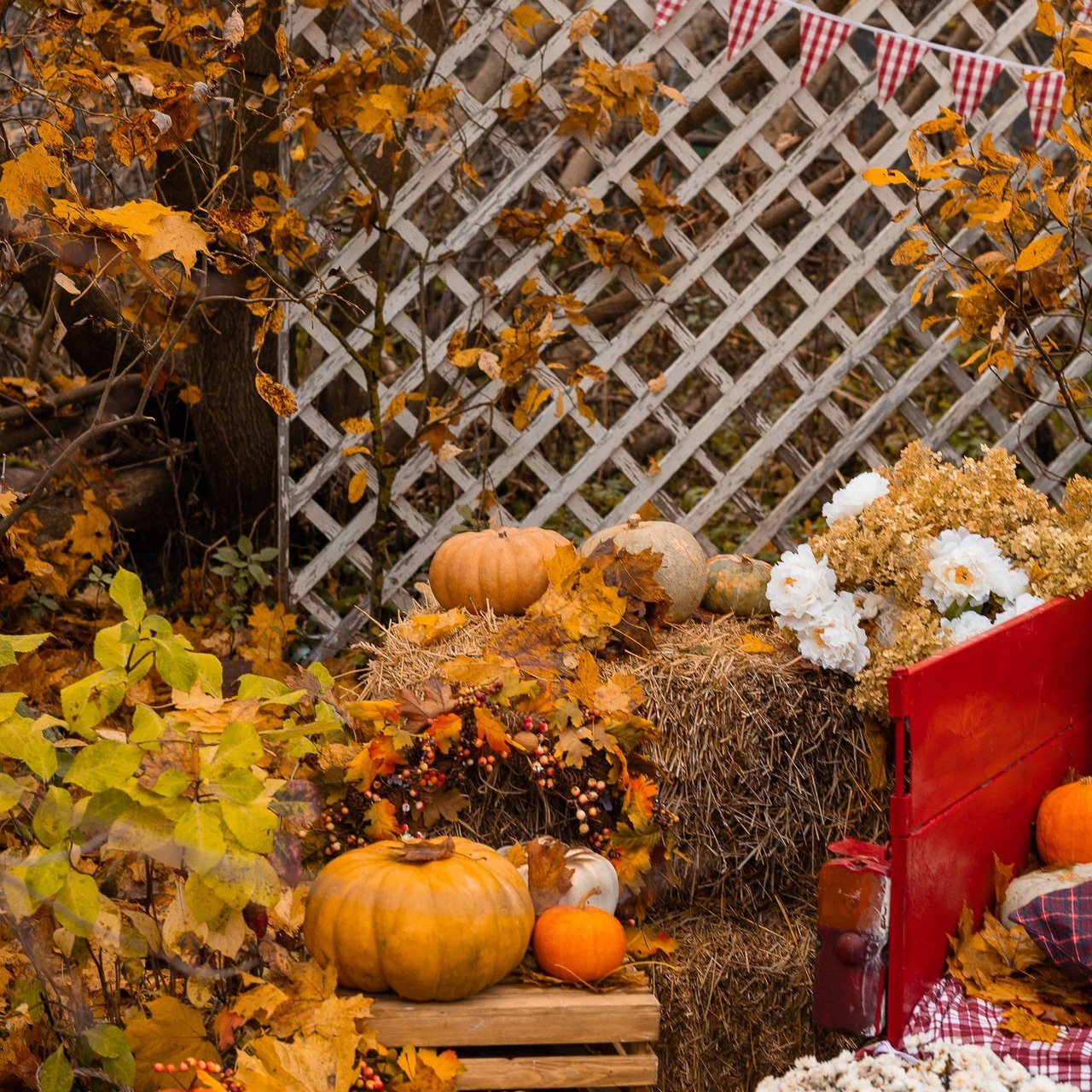 Отзывы. Семейный и детский фотограф Захаренкова Юлия
