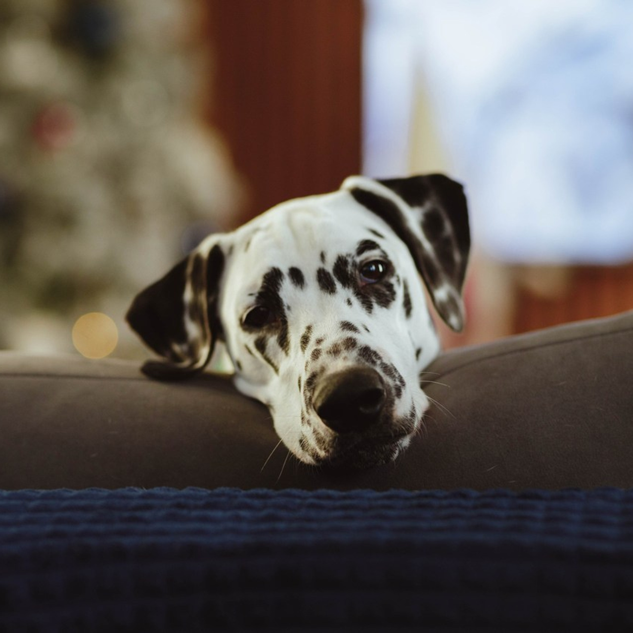 Отзывы. Семейный и свадебный фотограф в Новороссийске