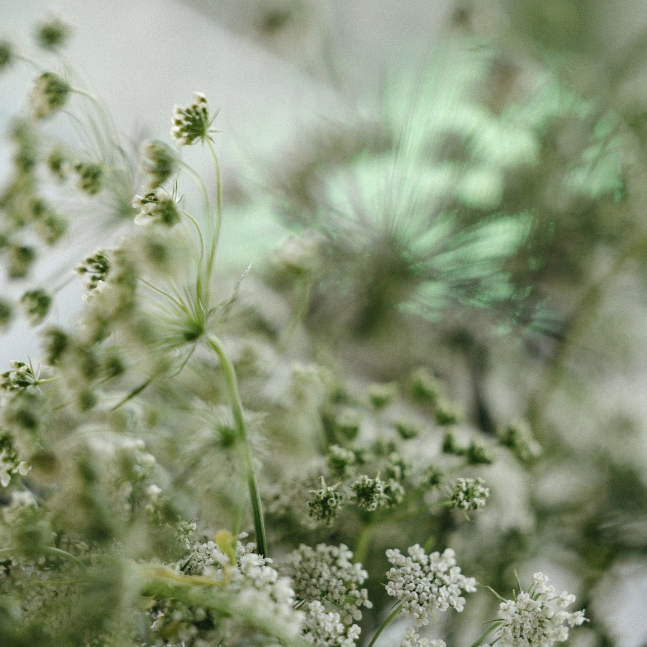 Отзывы. Свадебный Фотограф Толстой Константин