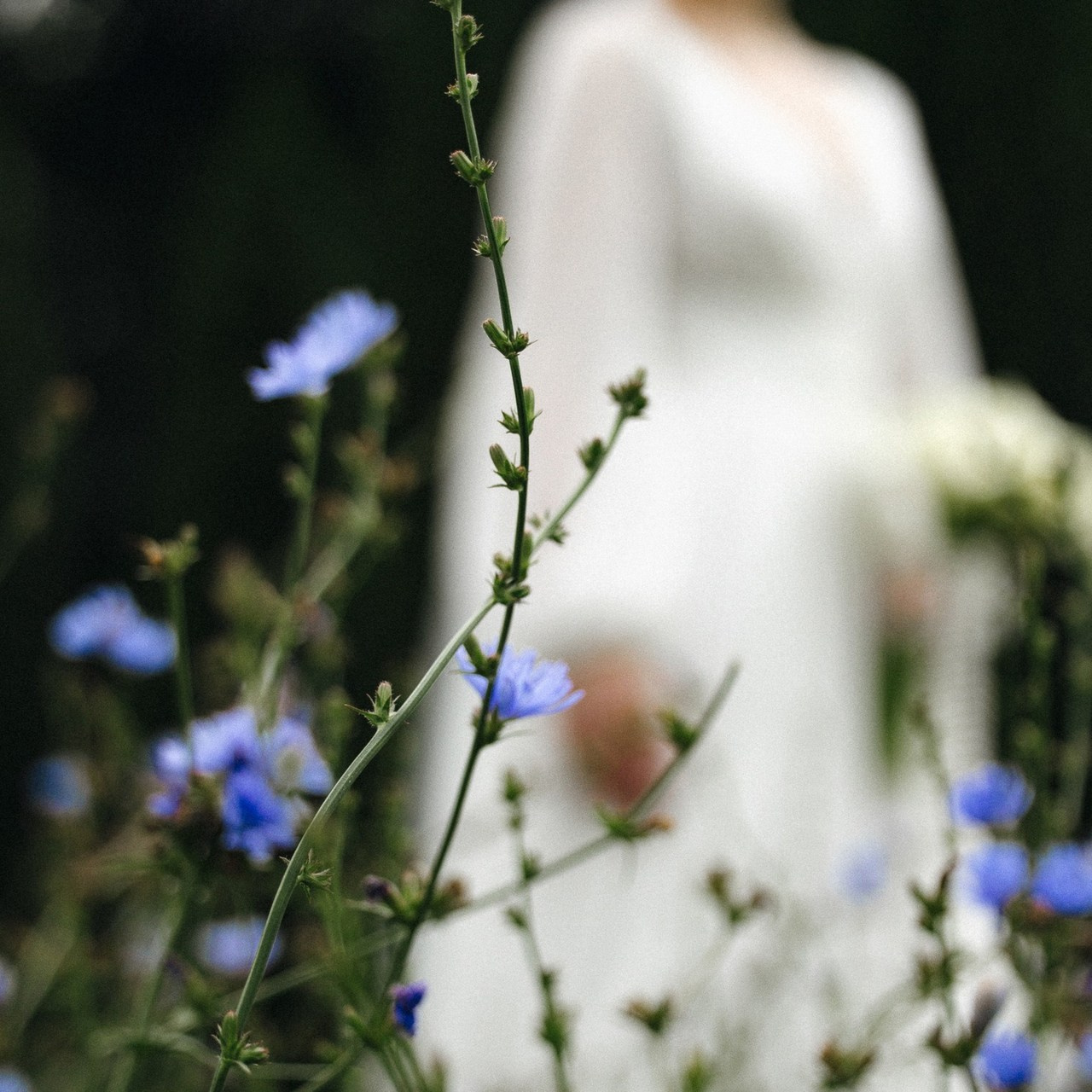 Отзывы. Свадебный Фотограф Толстой Константин