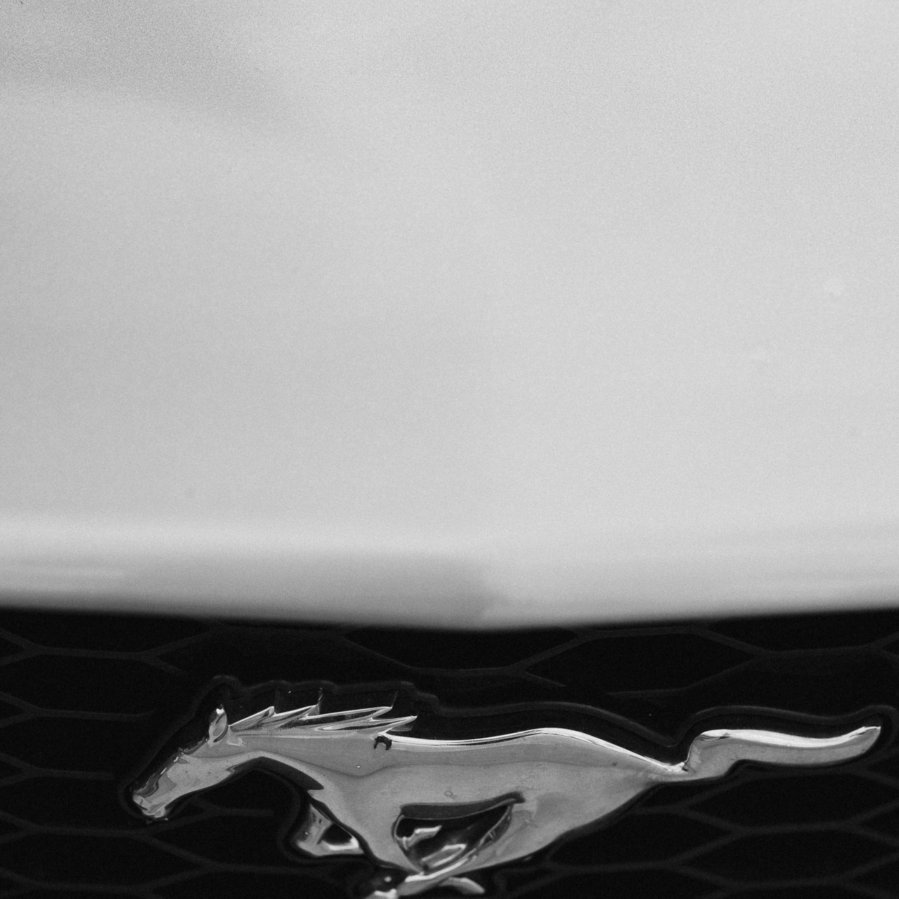 Отзывы. Свадебный Фотограф Толстой Константин