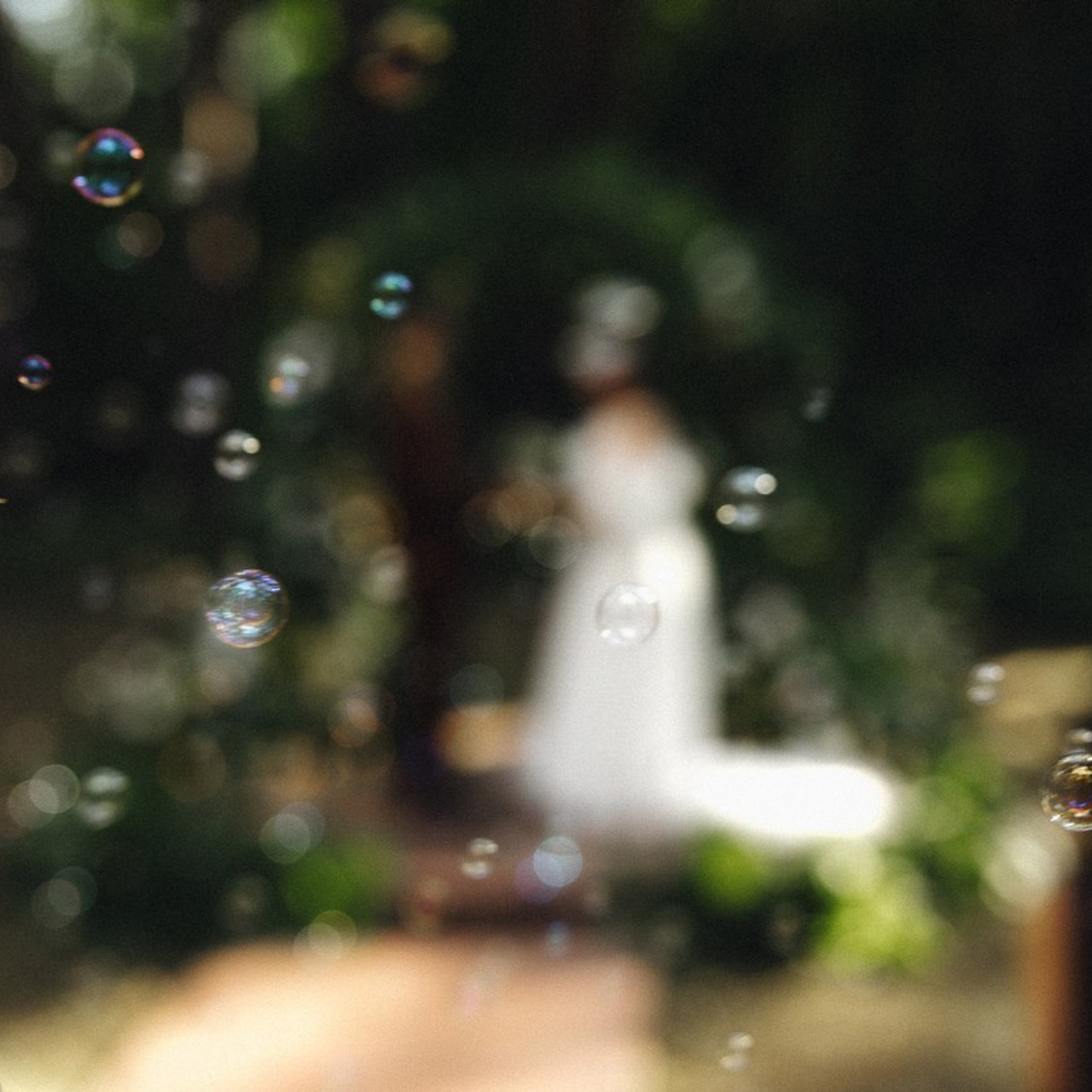 Отзывы. Свадебный Фотограф Толстой Константин