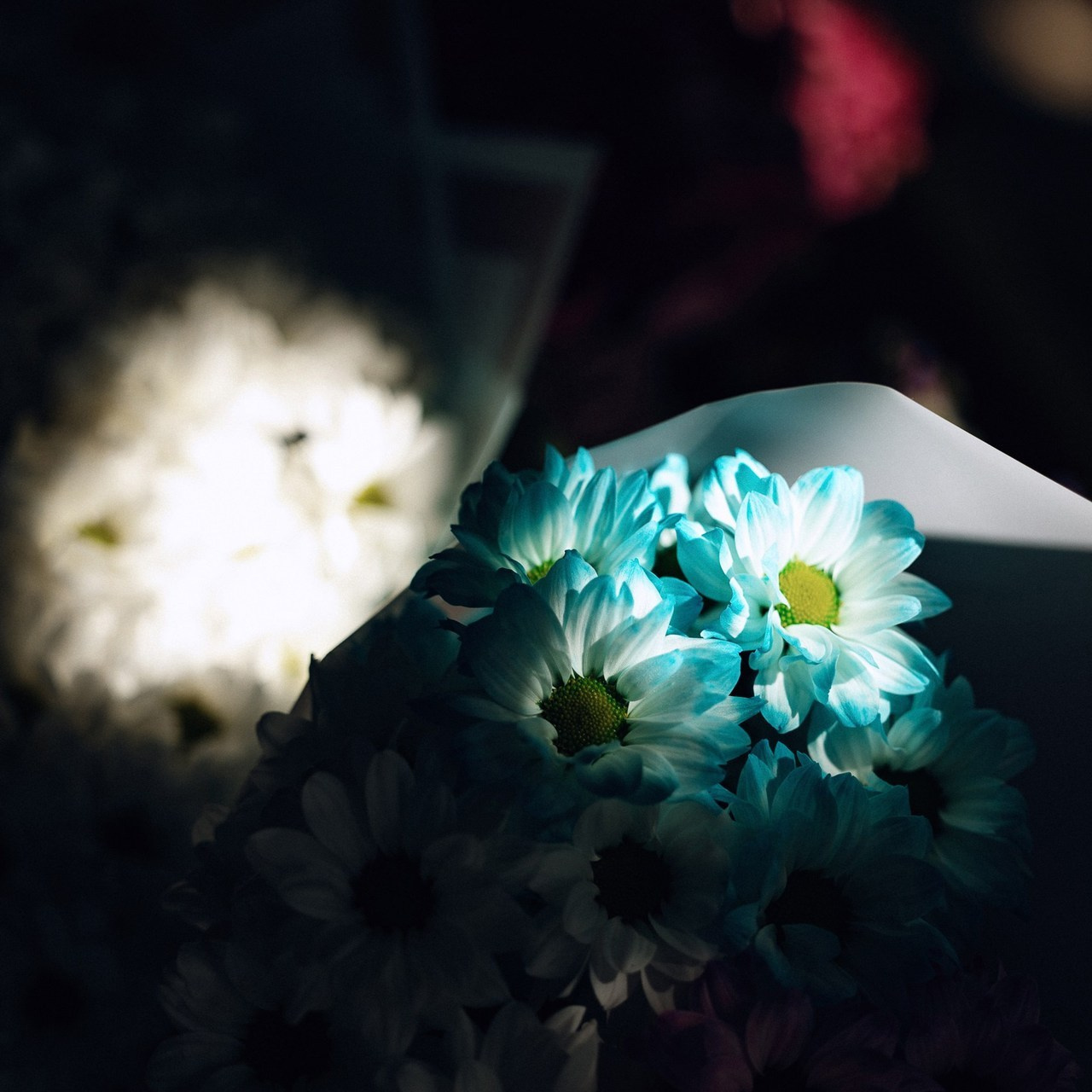 Отзывы. Свадебный Фотограф Толстой Константин