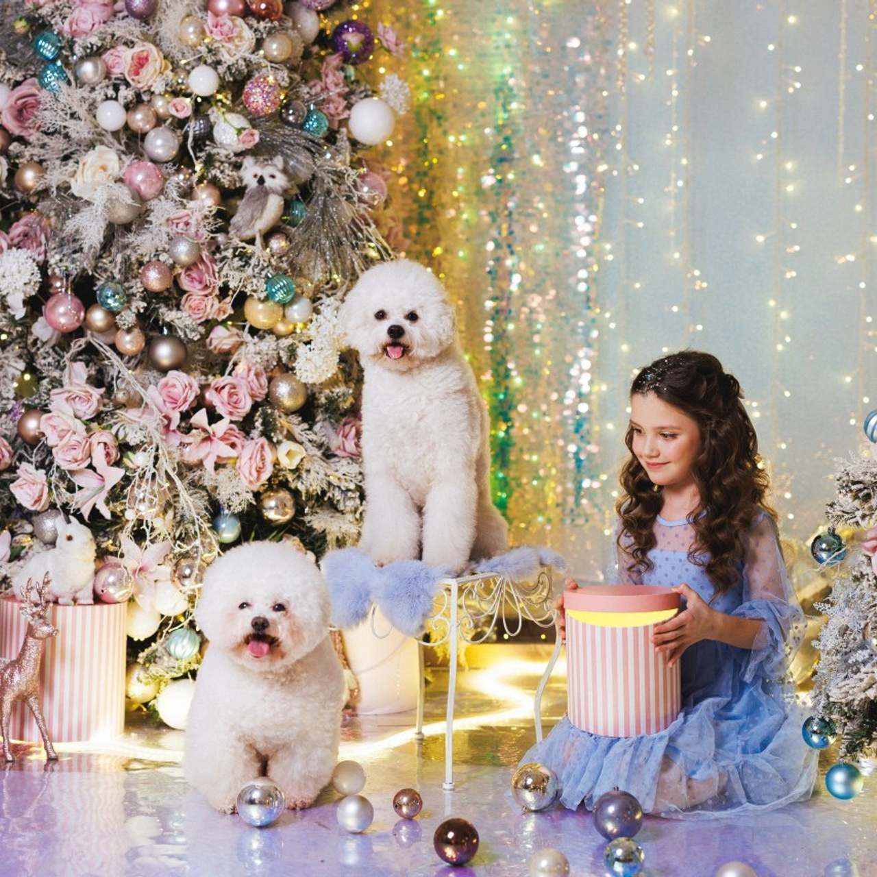 Отзывы. Семейный и детский фотограф в Краснодаре Анна Трашкова