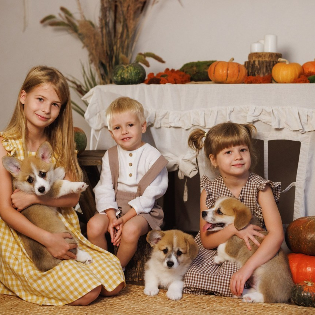 Отзывы. Семейный и детский фотограф в Краснодаре Анна Трашкова