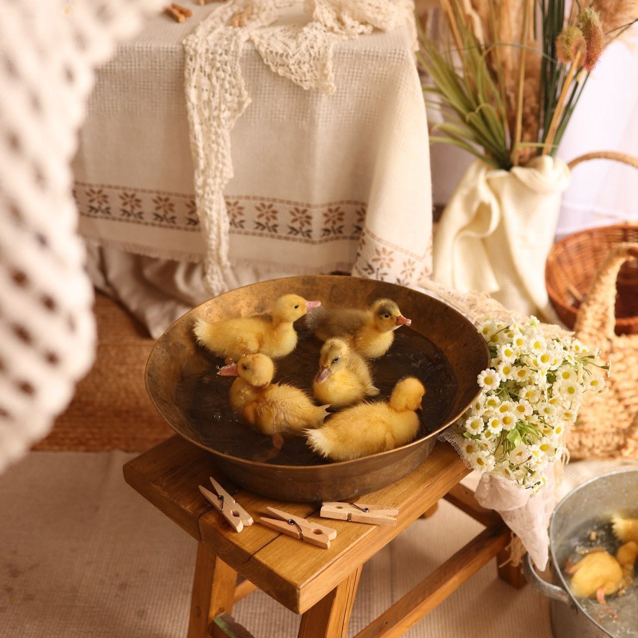 Отзывы. Семейный и детский фотограф в Краснодаре Анна Трашкова