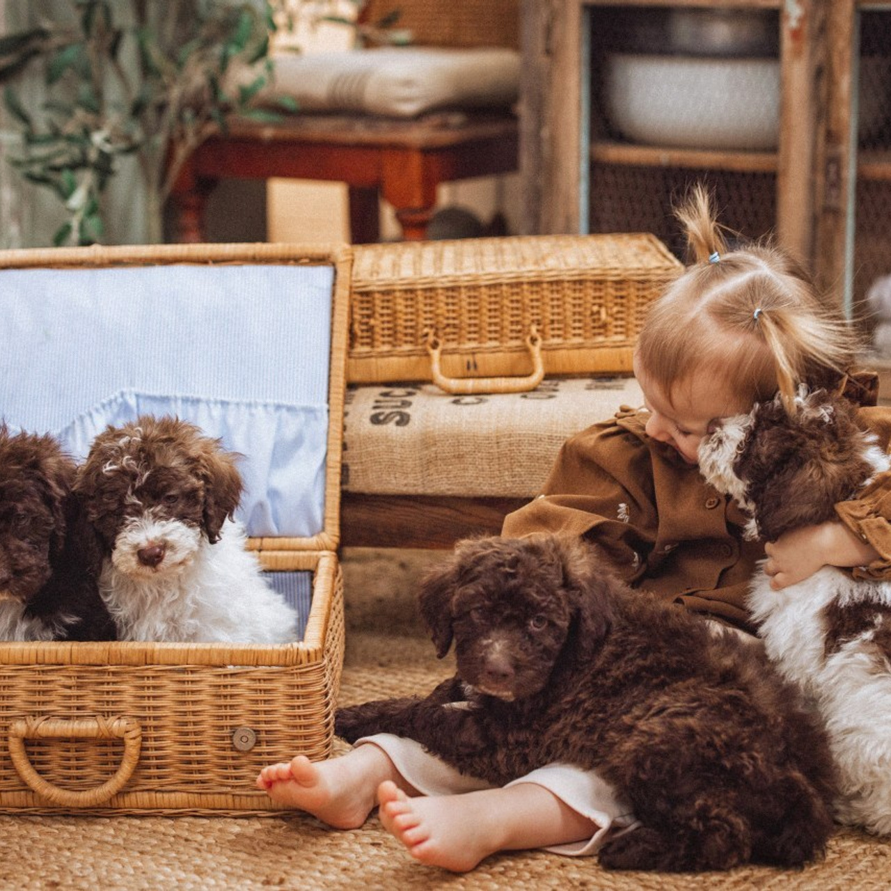 Отзывы. Семейный и детский фотограф в Краснодаре Анна Трашкова