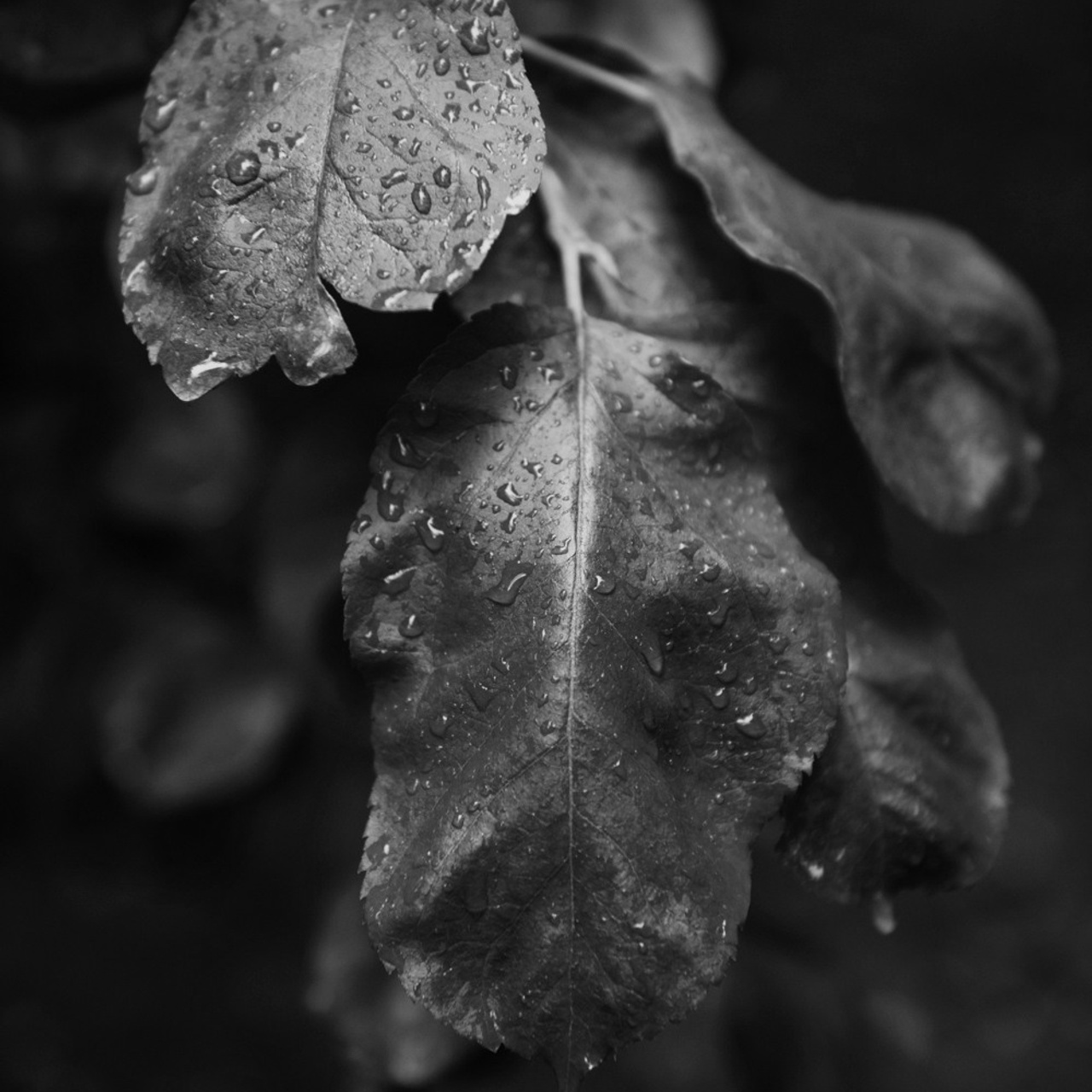 Переделкино