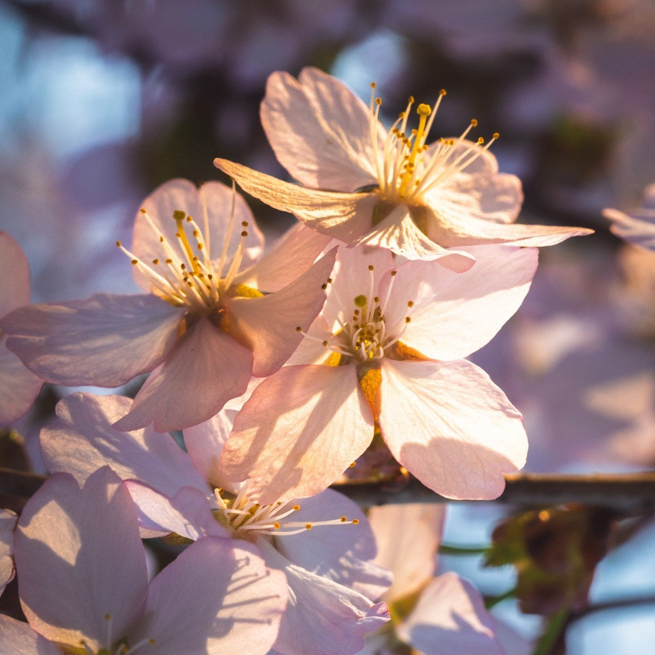 Отзывы. Пенкин Александр