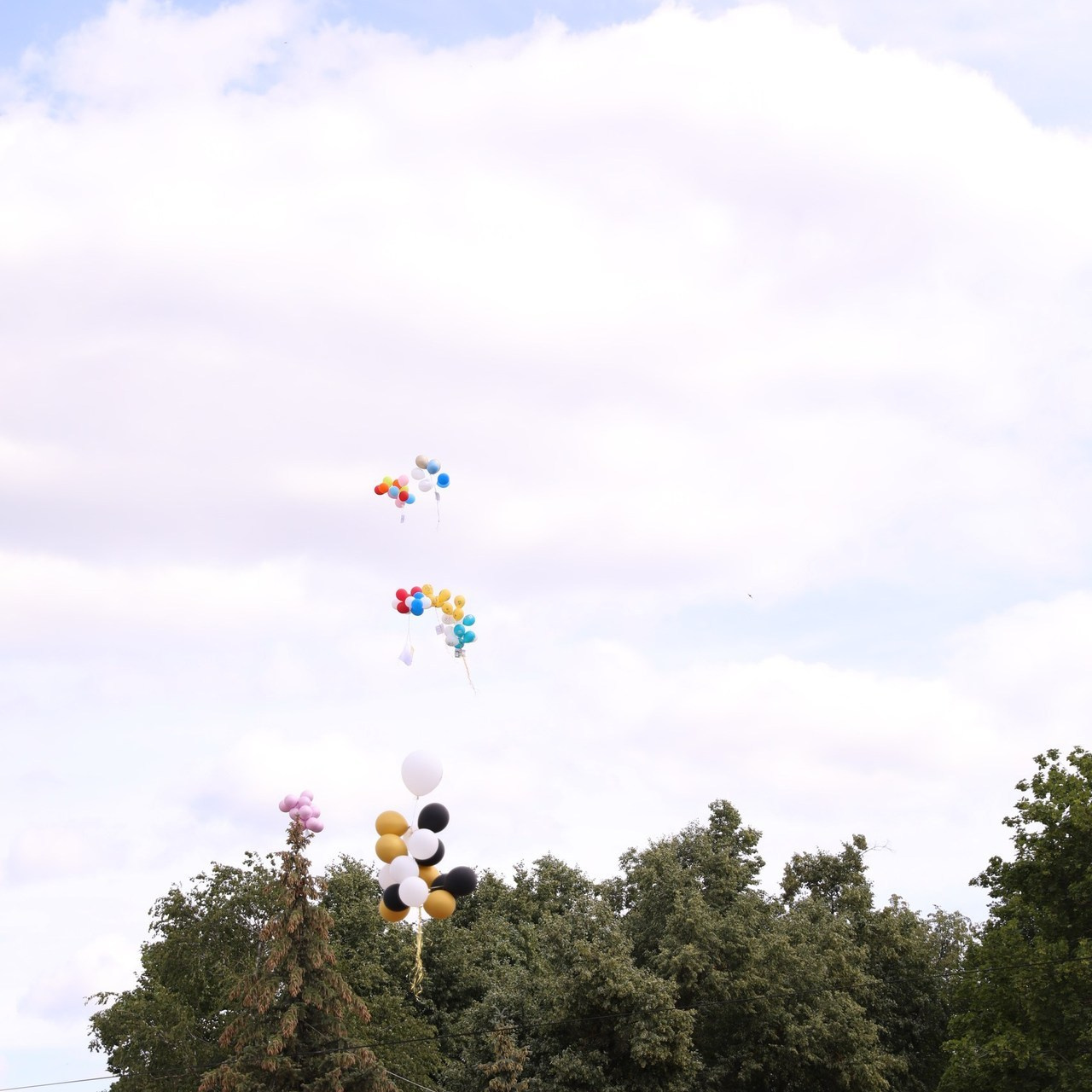 Отзывы. Свадебный и семейный фотограф в городе Пенза, Саранск, Ковылкино