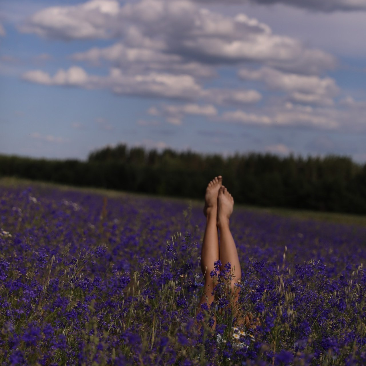 Отзывы. Свадебный и семейный фотограф в городе Пенза, Саранск, Ковылкино