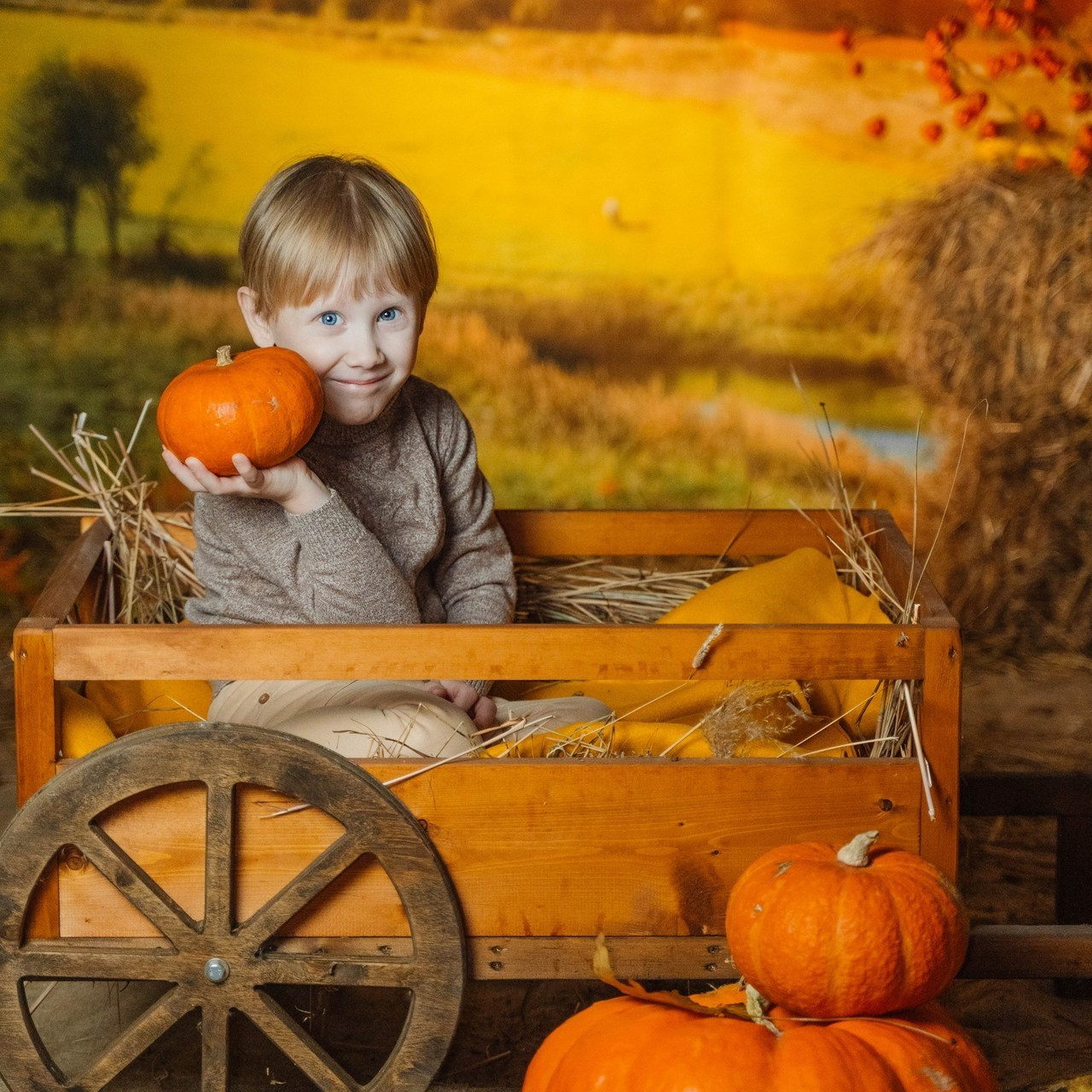 Отзывы. ALISON FILMS