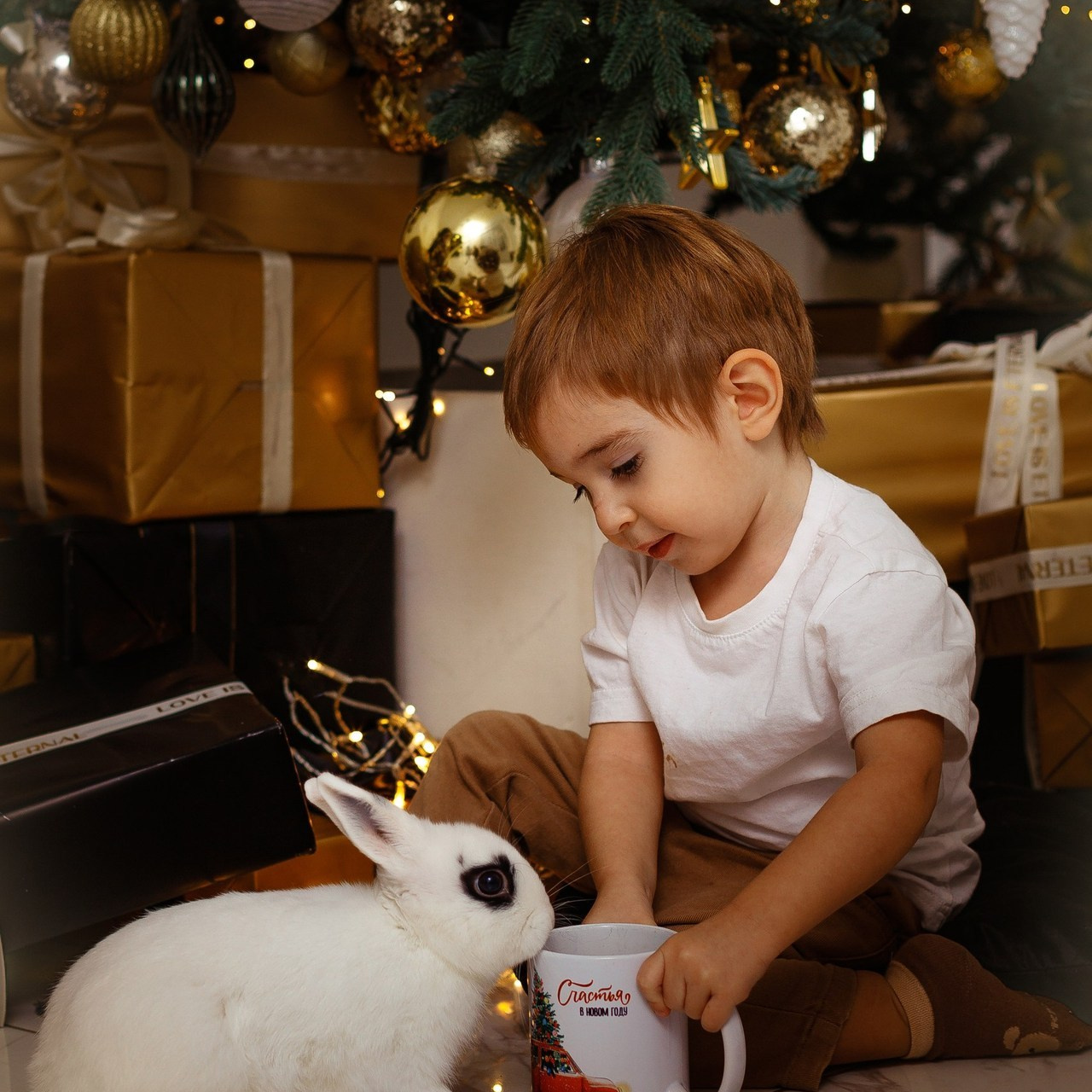 Отзывы. Фотограф в Санкт-Петербурге Ксения Андреева