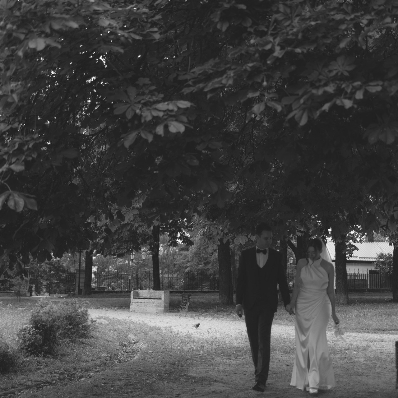 Отзывы. Фотограф Пятигорска Кисловодск Домбай Архыз