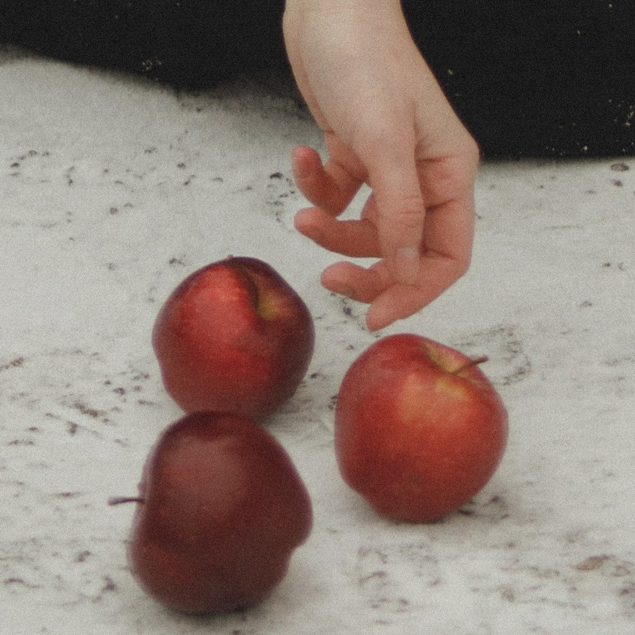 Отзывы. Фотограф Пятигорска Кисловодск Домбай Архыз