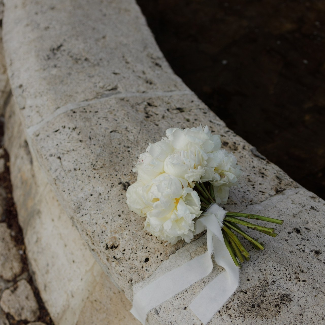 Отзывы. Фотограф Пятигорска Кисловодск Домбай Архыз