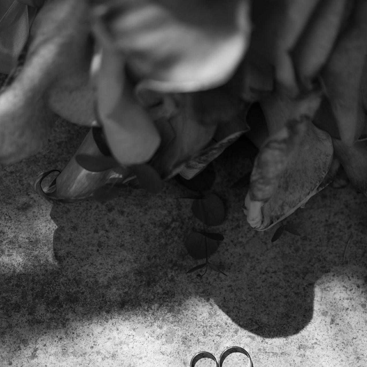 Отзывы. Фотограф Пятигорска Кисловодск Домбай Архыз