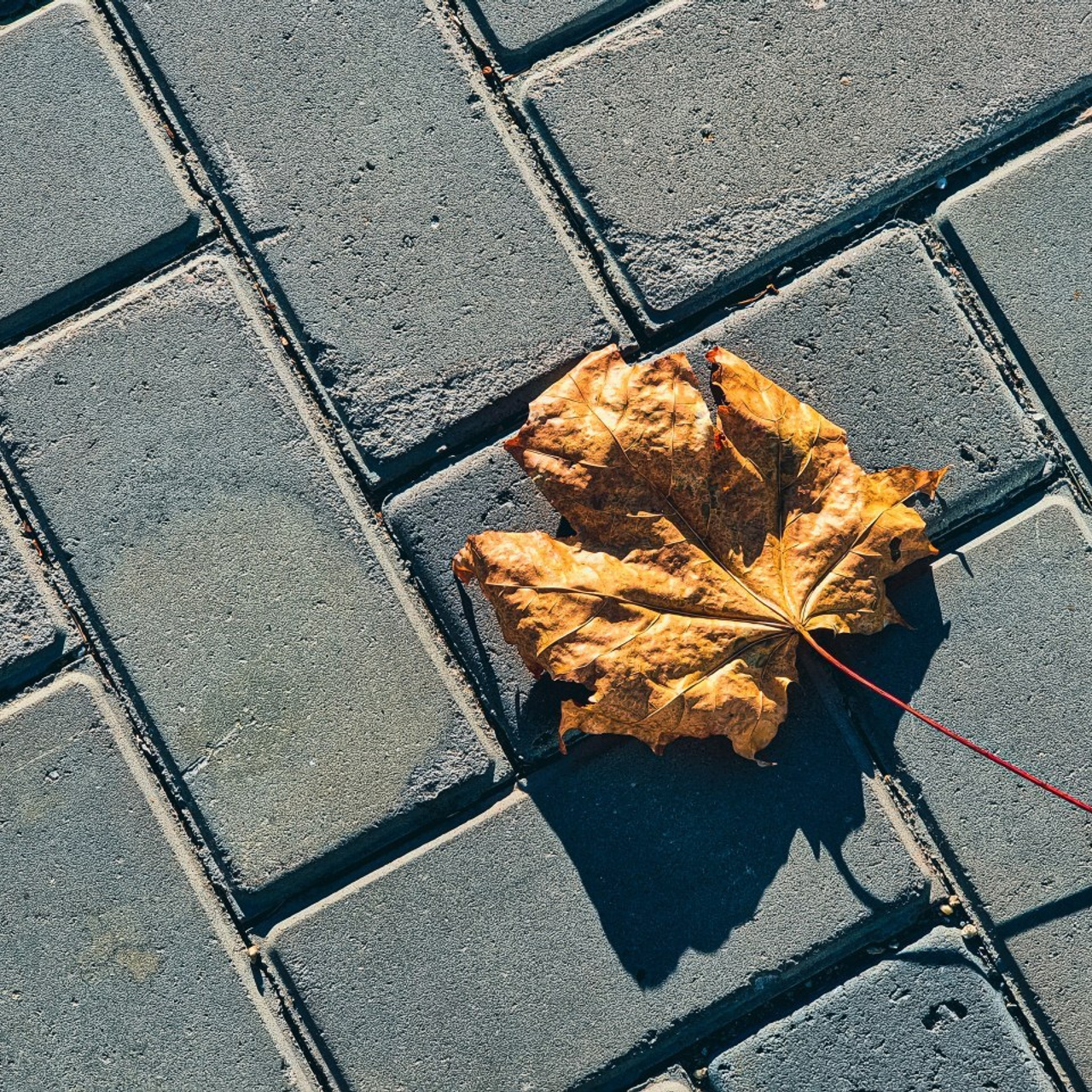 Отзывы. Фотограф